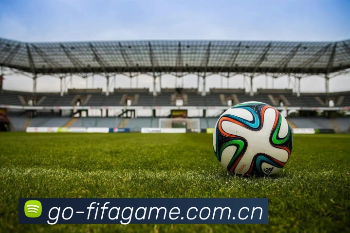 FIFA官方授权证书